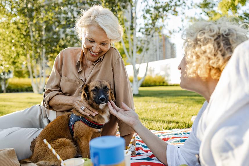 Woman smiling playing with dog